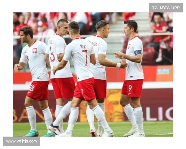 希季尔在欧洲杯前锋位置上的表现与技巧分析