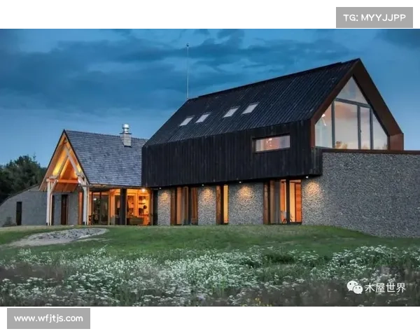 巴黎圣日耳曼豪购策略的可持续性分析与未来挑战